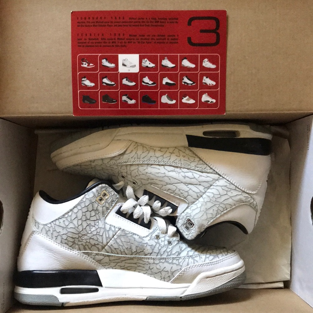 Air Jordan 3 Retro Flip